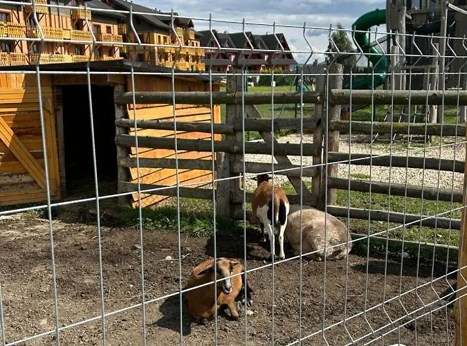 Appartement Apartliv